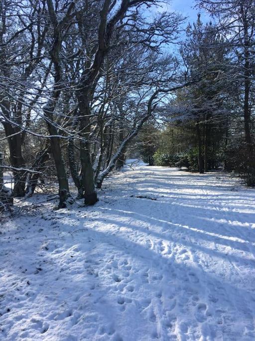 Kings Cottage, Nairn - A Charming Place To Stay Екстериор снимка